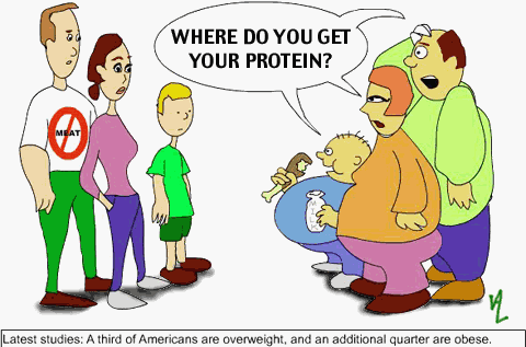 protein1.gif