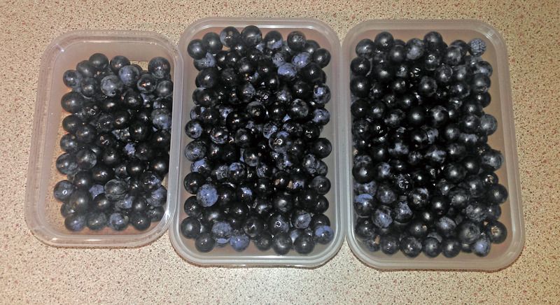 sloe-berries_zpsxlogtbmv.jpg
