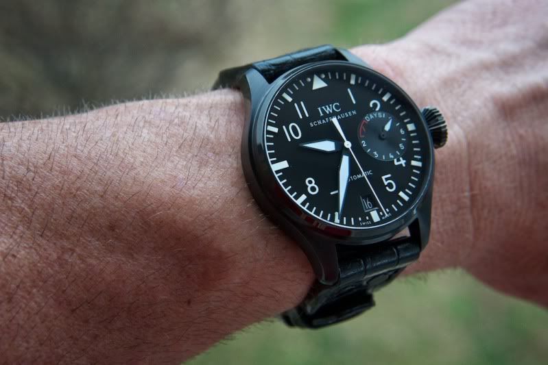 IWC002.jpg