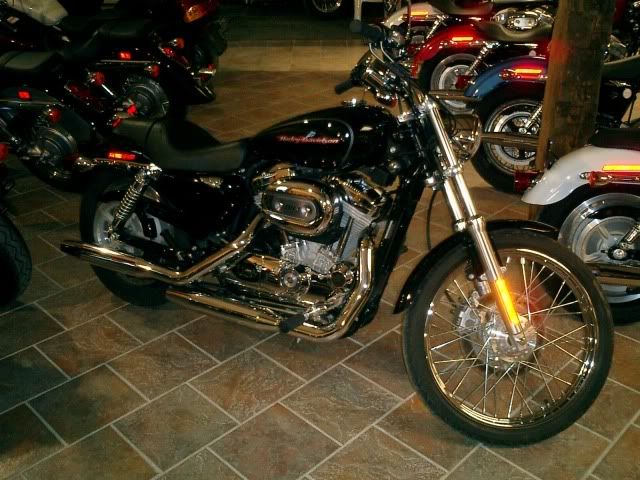 http://i197.photobucket.com/albums/aa271/shrekb18/HD/bikes041.jpg?t=1253286021