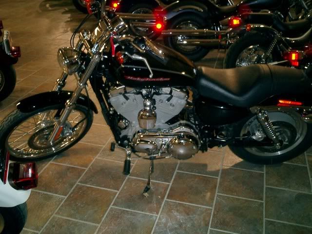 http://i197.photobucket.com/albums/aa271/shrekb18/HD/bikes043.jpg?t=1253286142