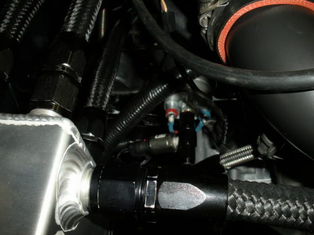 http://i197.photobucket.com/albums/aa271/shrekb18/newshrek/DSCN1081.jpg?t=1280095302