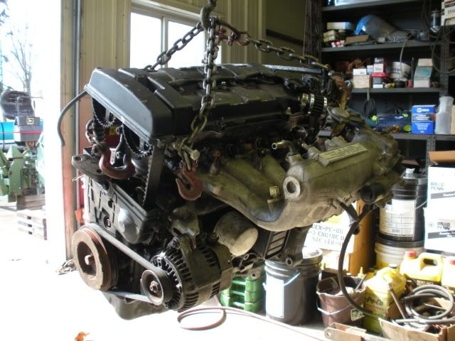 http://i197.photobucket.com/albums/aa271/shrekb18/newshrek/DSCN1217.jpg?t=1287275751