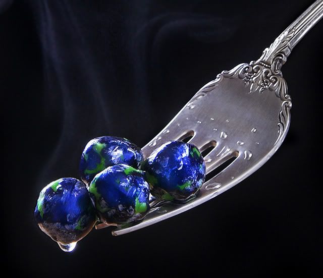 Blind calf. Pics - Cattle