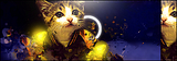 xanders.png image by Nl-o7
