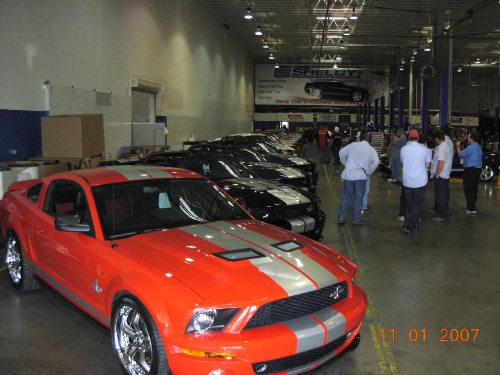 SHELBYPARTY004.jpg