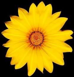 slide00035Fimage004.jpg picture by talvez_2007