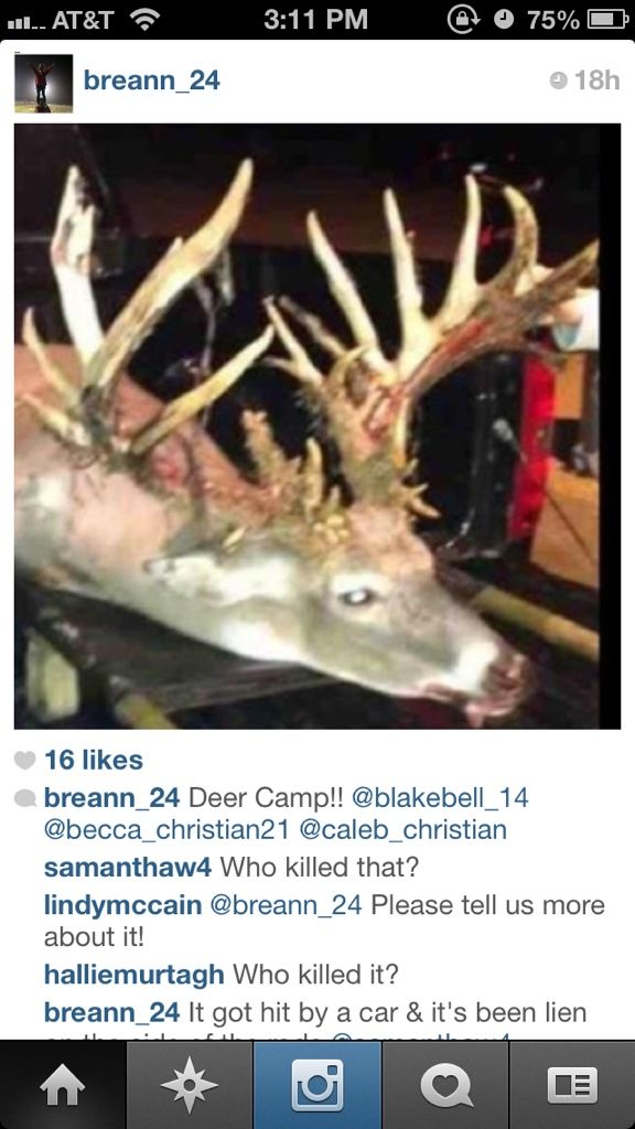 Panther Swamp Giant Mississippi Hunting and Fishing Forums