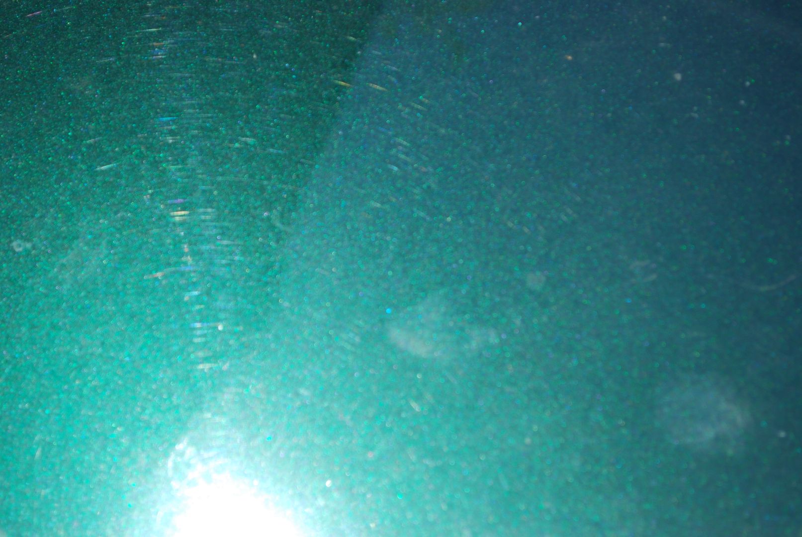 DSC_0068.jpg
