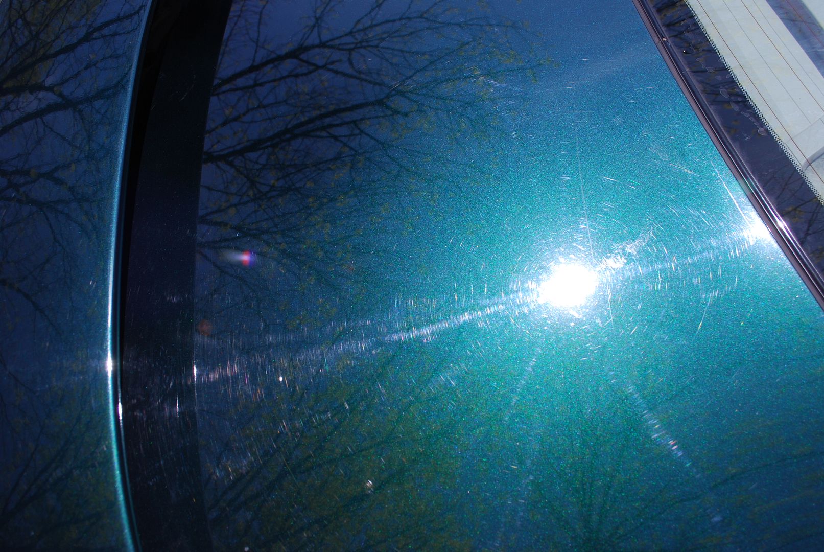 DSC_0089.jpg