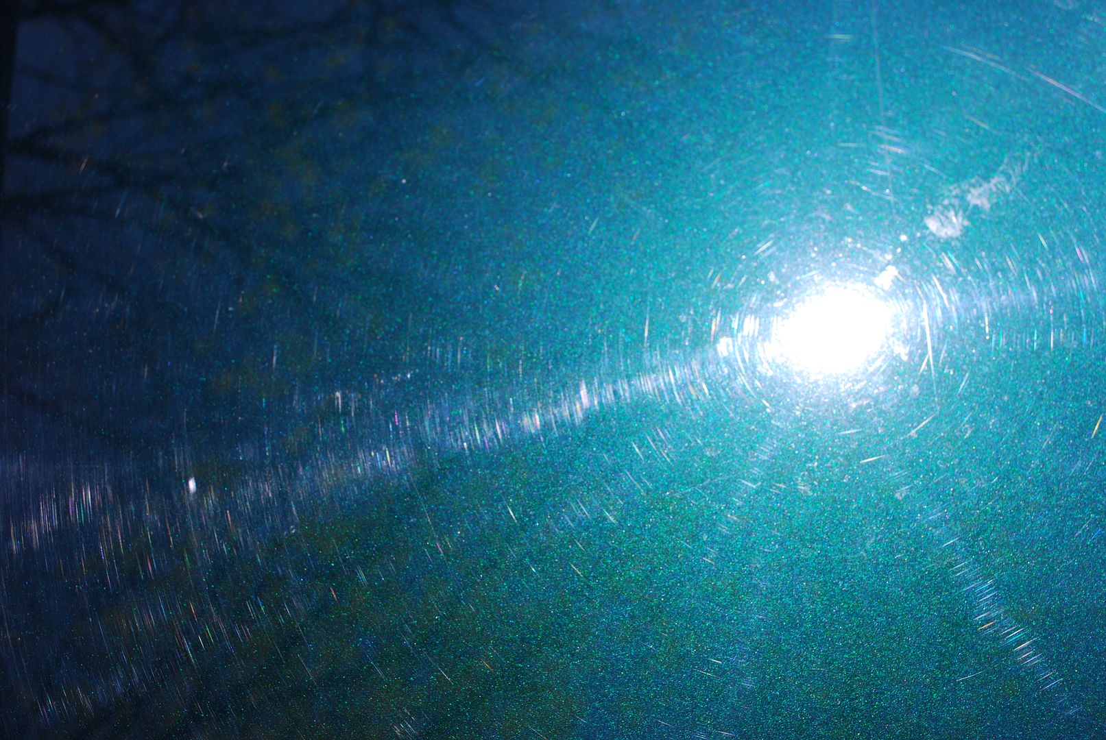 DSC_0092.jpg