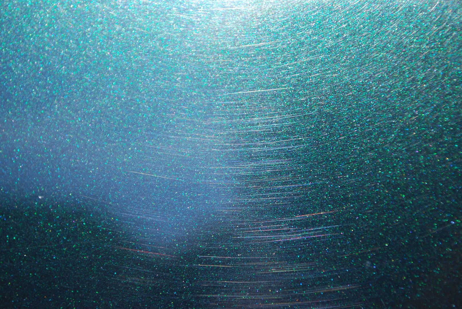 DSC_0102.jpg