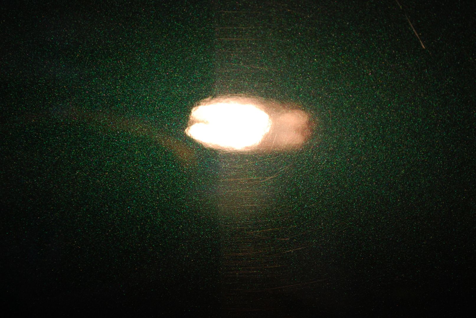 DSC_0120.jpg
