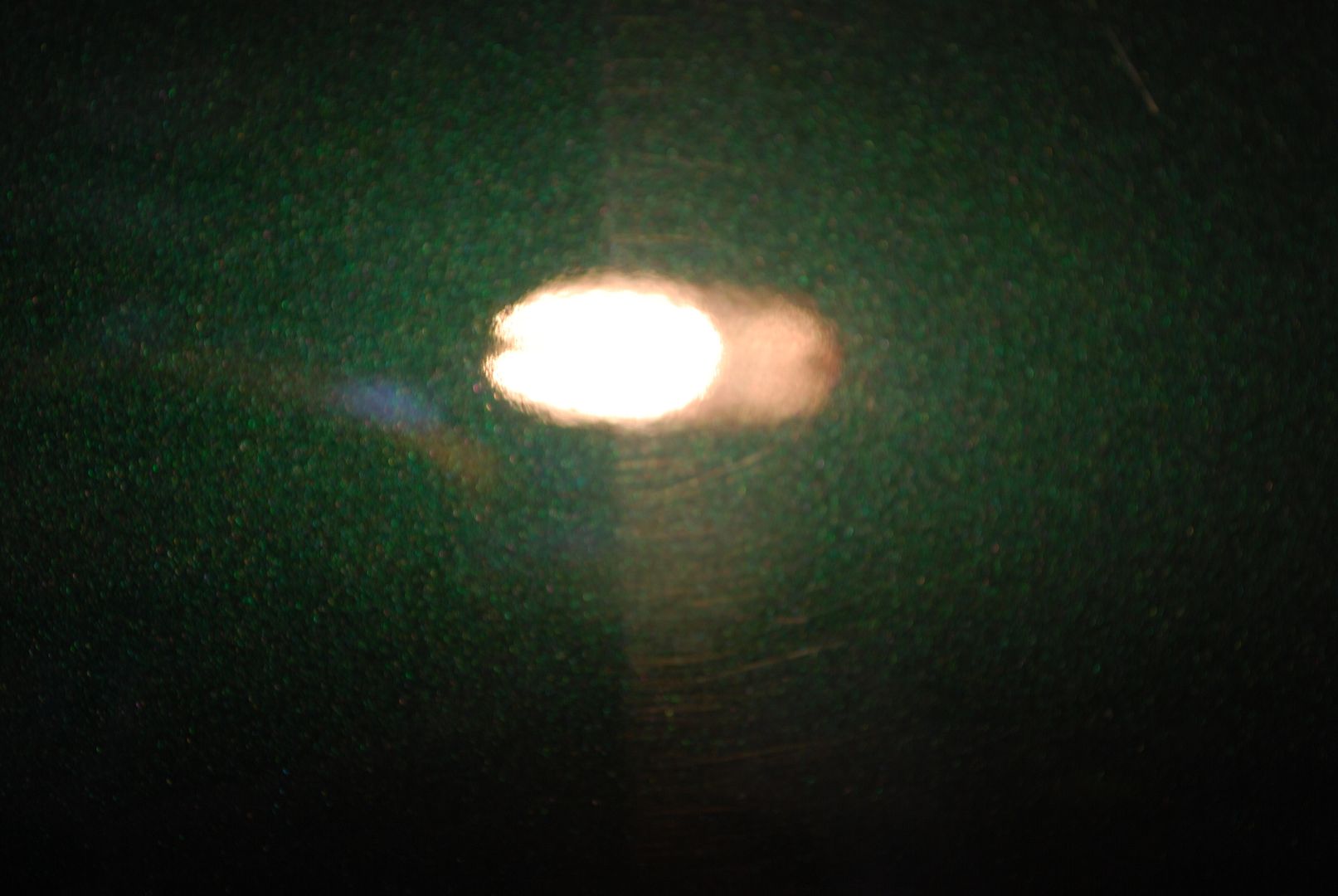 DSC_0123.jpg