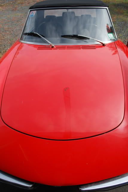 DSC_0642.jpg