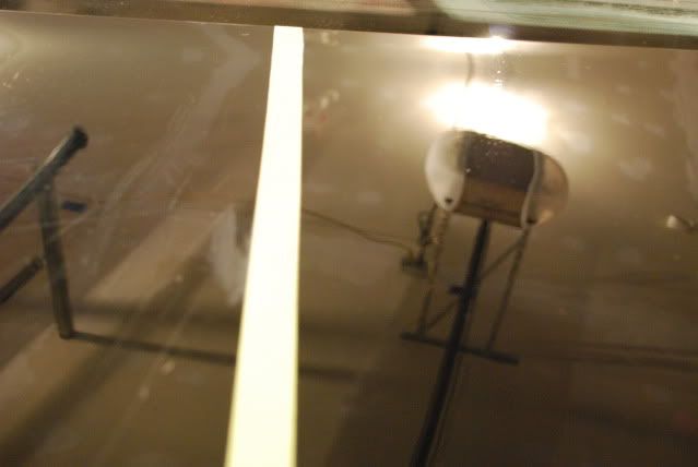 DSC_0426.jpg