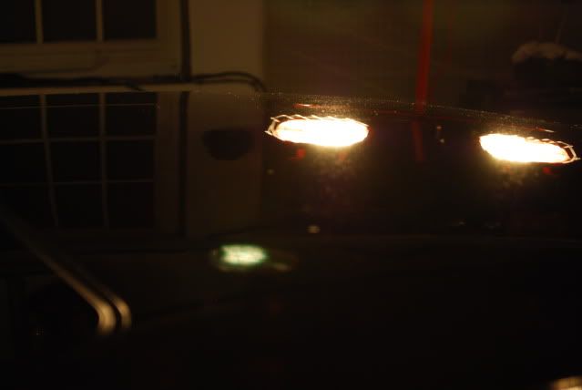DSC_0486.jpg