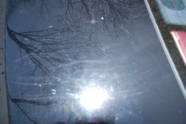 DSC_0557.jpg