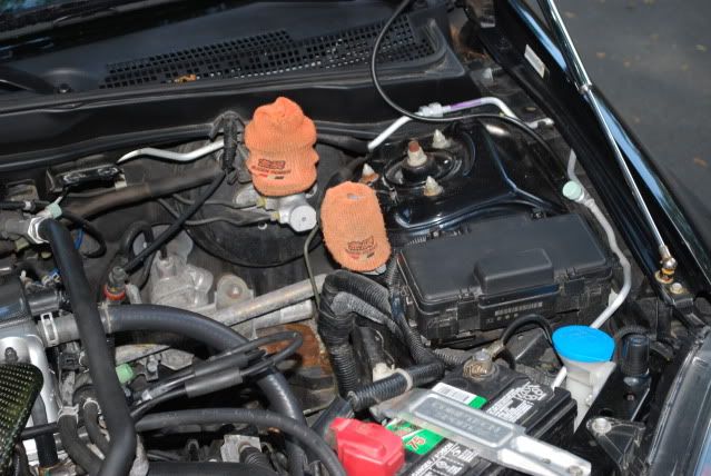 DSC_0029.jpg
