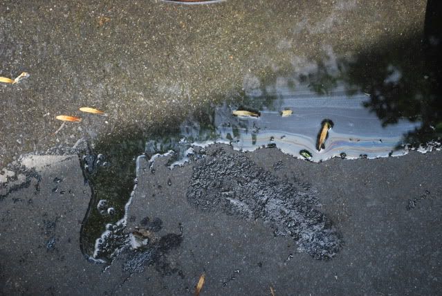 DSC_0060.jpg