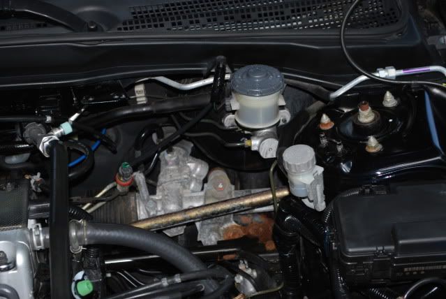 DSC_0123.jpg