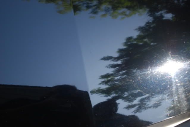 DSC_0174.jpg