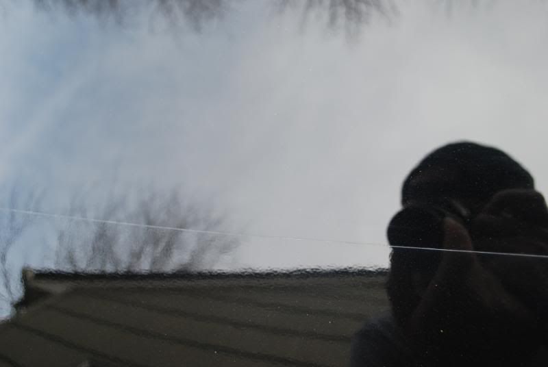 DSC_0010.jpg