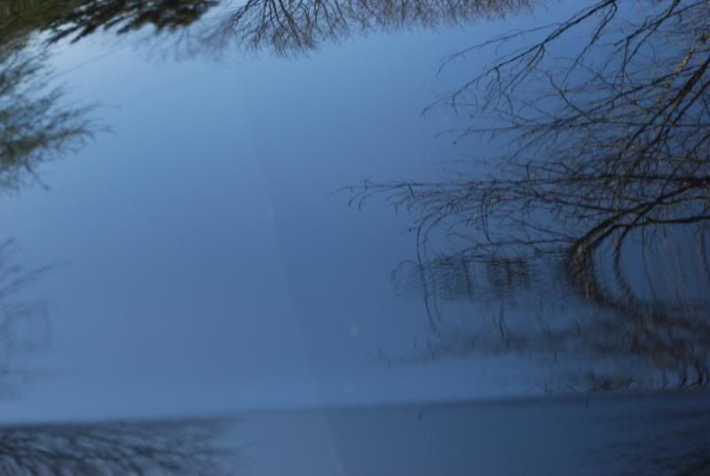 DSC_0028.jpg