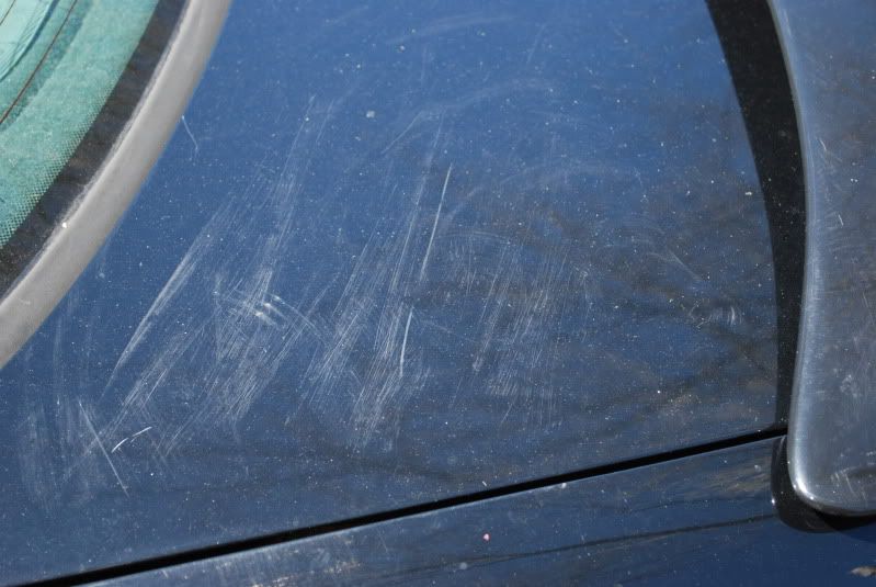 DSC_0006.jpg