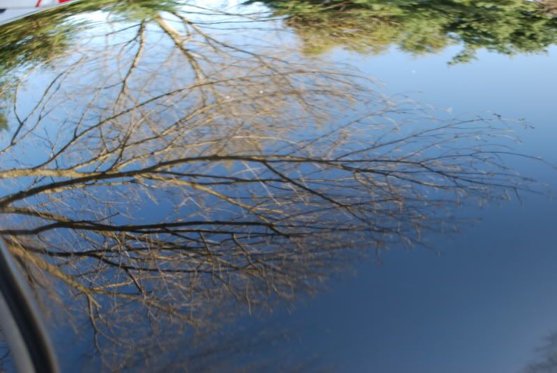 DSC_0082.jpg