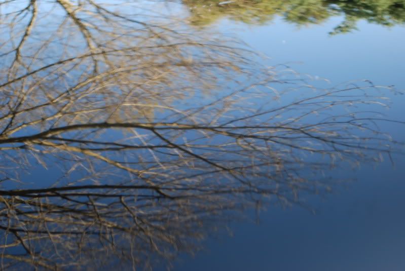 DSC_0083.jpg