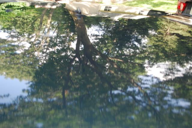 DSC_0362.jpg