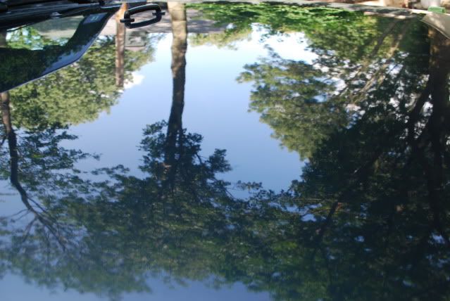 DSC_0363.jpg