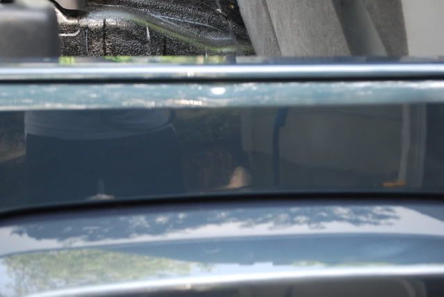 DSC_0377.jpg