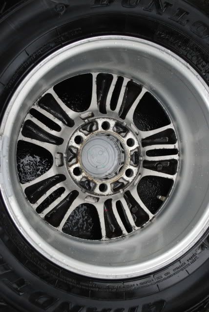 DSC_0298.jpg
