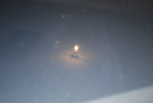 DSC_0307.jpg