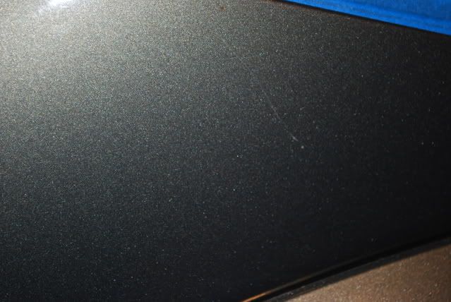 DSC_0317.jpg