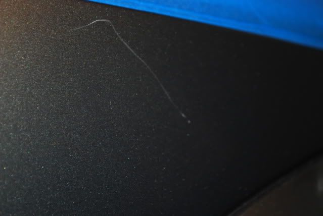 DSC_0318.jpg