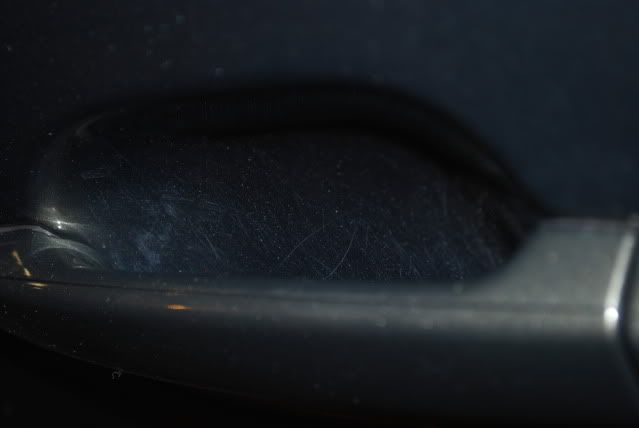 DSC_0334.jpg