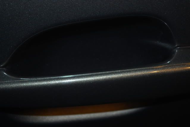DSC_0337.jpg
