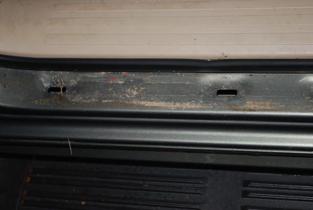 DSC_0353.jpg