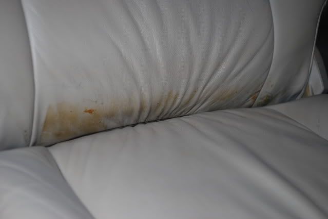 DSC_0358.jpg