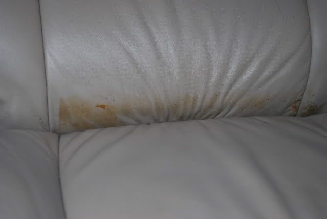 DSC_0359.jpg