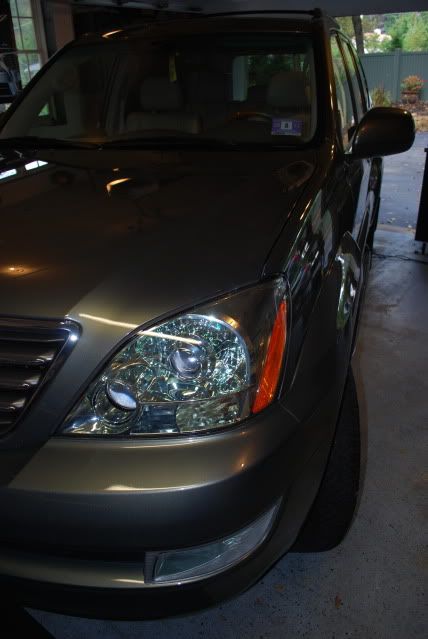 DSC_0374.jpg