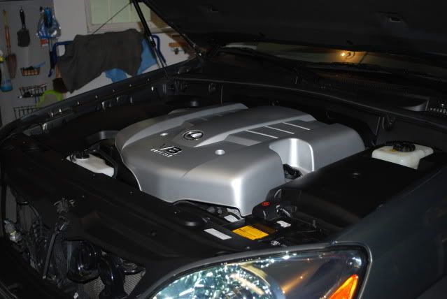 DSC_0425.jpg