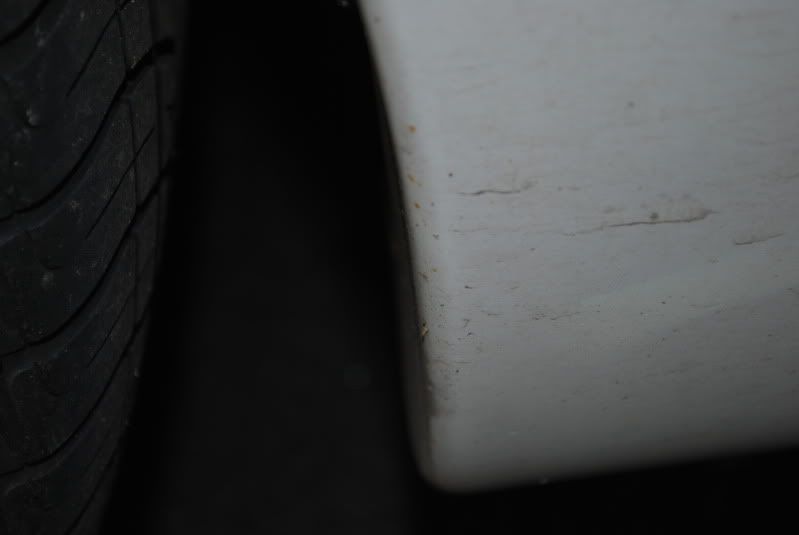 DSC_0201.jpg