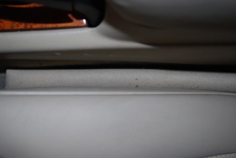 DSC_0406.jpg