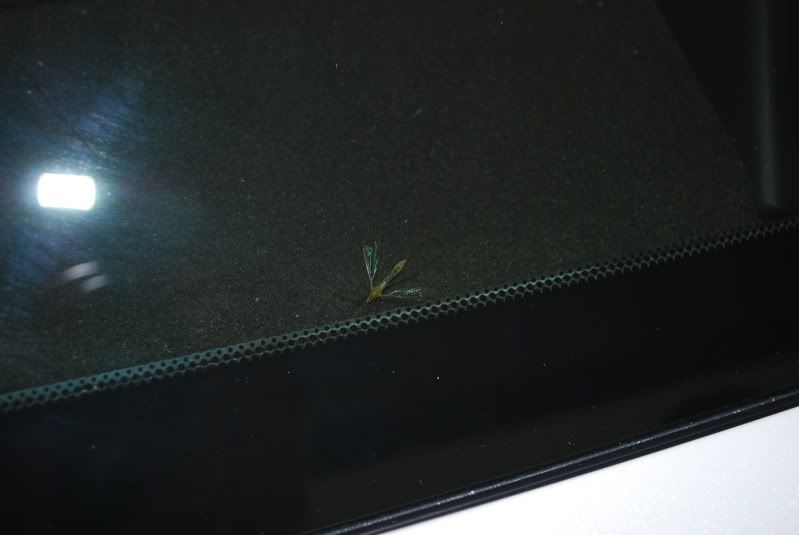 DSC_0431.jpg