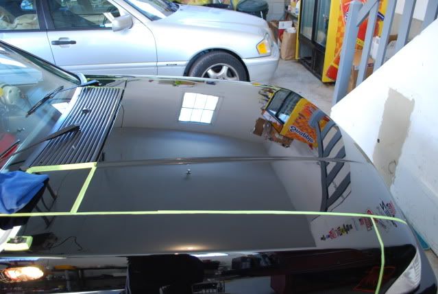 DSC_0551.jpg