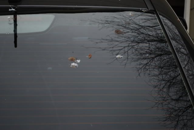 DSC_0345.jpg